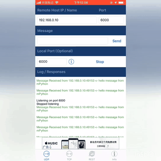 ../../../_images/udpclient.gif